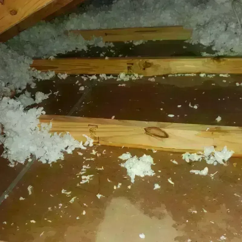 Attic Water Damage in Elgin, MN